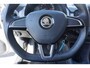 Skoda Citigo 1.0 60PK 5-D GREENTECH Fresh Navigatie