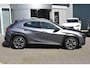 Lexus UX 250h EXECUTIVE LINE SCHUIF-DAK MARK-LEVINSON-AUDIO GROOT-SCHERM LEDER