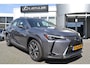 Lexus UX 250h EXECUTIVE LINE SCHUIF-DAK MARK-LEVINSON-AUDIO GROOT-SCHERM LEDER