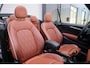 MINI Cooper S Cabrio | Classic | Harman Kardon | Bruin int.