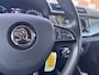 Skoda Fabia 1.0 TSI Clever
