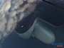 Audi A1 1.4 TFSI Design Pro Line Plus | Automaat | PDC | Navi | Led | Facelift