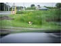 Audi Q8 50 TDI quattro Pro Line S ** Panodak ** Leder ** Luchtvering ** BOSE ** Trekhaak ** Massage