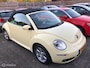 Volkswagen Beetle New Cabriolet 1.6 Facelift Org. NL