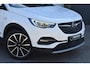Opel Grandland X 1.6 T Hybrid4 Business Executive | Trekhaak | Camera | Carplay |