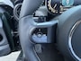 MINI Cooper S Mini 2.0 Resolute Edition Pano/H&K/Leder/Camera