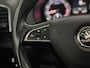 Skoda Karoq 1.0 TSI Business Edition Panoramadak, Camera, Navi, Keyless start, Cruise control, A start stop, Sfeerverlichting
