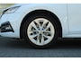 Skoda Octavia Combi 1.0 TSI 110pk Business Edition | Trekhaak | Stoelverwarming | Camera | Cruise Control