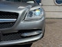 Mercedes-Benz SLK 200 CarbonLOOK Ed. |Leder,Stoel/NekVerwarming|