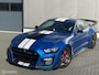 Ford Mustang USA GT500 Shelby Trackpack