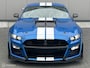 Ford Mustang USA GT500 Shelby Trackpack