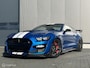 Ford Mustang USA GT500 Shelby Trackpack