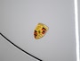 Porsche 911 Cabrio 3.8 Turbo S | Aerokit | PTS | Burmester | Lift | Ventilatie | ACC |