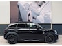 MINI Countryman Mini 1.5 Cooper S E ALL4 ALL4|ALL BLACK|PANO|H&K|LEDER|VOL VOL|