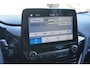 Ford Fiesta 1.0 EcoB.Hy. Titanium 124PK | Stuur&Stoel verwarm. | CarPlay | N