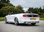 Ford Mustang USA 3.7 V6