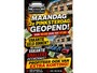 Honda Insight 1.3 Comfort Hybride Navigatie Camera Airco
