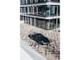 Porsche 911 3.8 Carrera S