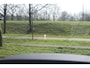 Volkswagen Golf 1.5 eHybrid 272pk GTE Black Style Pano/Leder/IQ.Light/360/Headup/DCC/Keyless/Elek. stoel+mem/Dodehoek/Trekhaak wegkl.