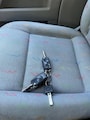Volkswagen Transporter 2.5 Dubbel cabbine 5 cilinder