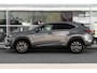 Lexus NX 300h AWD F Sport Line