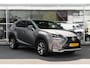 Lexus NX 300h AWD F Sport Line