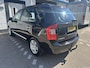 Kia Carens 2.0 CVVT X-ecutive /Nieuwe apk bij aflevering/CC/Trekhaak/Lm velgen