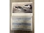 Peugeot 208 1.2 VTi Envy*DISTRIBUTIE VV*PARKEERSENSOR*CRUISE