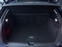 Audi Q2 35 TFSI S-line Black Sonos Panoramadak