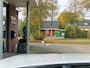 BMW Z4 Roadster M40i High Executive M-Sport Head UP Actief Cruise Control Harman Kardon Adaptive LED Stuurverwarming Keyless