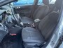 Ford Fiesta 1.0 EcoBoost Titanium 5 DEURS