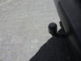 Citroën Berlingo 1.5 BlueHDI Control||Trekhaak||Airco||Cruise||