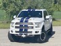 Ford F-150 USA Shelby