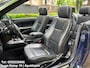 BMW 3-Serie Cabrio 320Ci Executive Automaat Leder Xenon Navi CarPlay APK Camera Climate Cruise Ctr Stoelverwarming Full Options