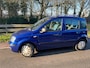 Fiat Panda 1.2 Edizione Cool Airco