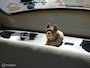 Volkswagen Kever 1200 Standaard