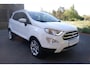 Ford EcoSport 1.0 EcoBoost 125pk AUT Titanium-CAMERA-TREKHAAK -BOVAG