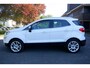 Ford EcoSport 1.0 EcoBoost 125pk AUT Titanium-CAMERA-TREKHAAK -BOVAG