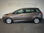 Ford Grand C-Max 1.0 TITANIUM l NAP l NW DISTRI l NAVI l CRUISE l CLIMATE l TREKHAAK l