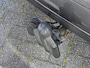 Nissan Almera Tino 1.8 Airco/Navi/Camera/Trekhaak
