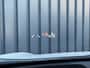 Toyota Yaris Cross 1.5 Hybrid GR Sport / Bi tone | 360 camera | JBL | Head-up | Rijklaar!!!