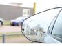 Volvo EX30 Single Motor Extended Range Plus Europa 69 kWh | Verwarmbare voorstoelen en stuurwiel | Premium audio by Harman Kardon | Elektrisch verstelbare stoelen met memory functie | Adaptieve Cruise Control | Warmtepomp | Elektrische achterklep | Keyless