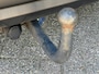 Nissan Qashqai 1.2 Connect Edition Navi Camera Telefoon Cruise Trekhaak