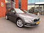 Skoda Octavia Combi 1.5 e-TSI 150PK Business Edition | Trekhaak | Apple Carplay |