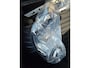 Ford Puma 1.0 EcoBoost Hybrid 155Pk ST-Line X Panorama dak Trekhaak