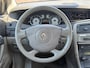 Renault Vel Satis 3.5 V6 Initiale | automaat | apk | luxe uitvoering !