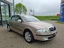 Skoda Octavia 1.6 ELEGANCE AUTOMAAT AIRCO LEDER LMV PDC