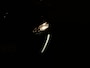 Peugeot 208 1.2 PURETECH 100PK ALLURE EAT8 | Navi | Carplay
