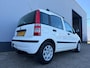 Fiat Panda 1.2 Edizione Cool - Airco - Trekhaak