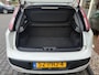 Fiat Punto Evo 1.4 Nat. Pow. Active NIEUWE APK / RIJDT GOED / AIRCO